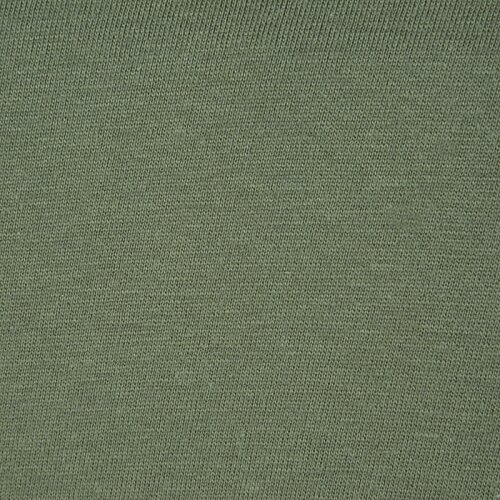Additional Image 2 - a green surface with white spots
