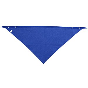 Additional Image 1 - a blue triangle on a white background
