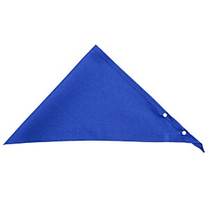 Additional Image 2 - a blue triangle shaped object