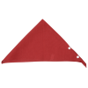 View Image 3 of 5 of Snap and Go Pet Triangles - Small