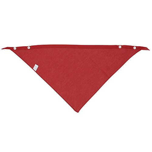 Additional Image 1 - a red triangle on a white background