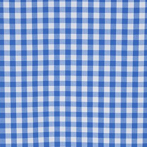 Additional Image 2 - a blue and white checkered tablecloth