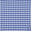 a blue and white checkered fabric