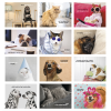 View Image 3 of 2 of Pets with Attitude Wall Calendar - Stapled