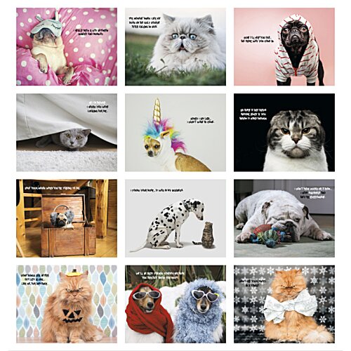 Additional Image 2 - a screenshot of a computer