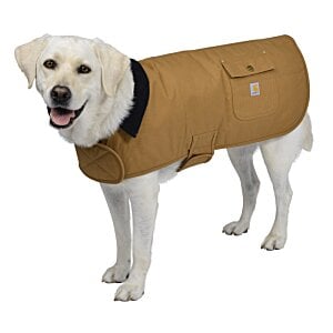Additional Image 5 - a dog wearing a coat
