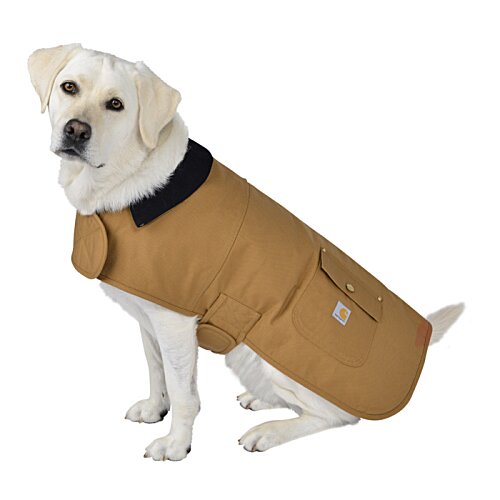 Additional Image 4 - a dog wearing a coat