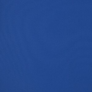 Additional Image 3 - a blue surface with a white spot