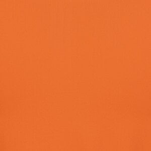 Additional Image 2 - an orange surface with a black stripe