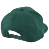 Additional Thumbnail Image 1 - a green hat on a white background