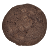 a round brown cookie on a white background