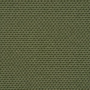Additional Image 2 - a green fabric with small lines