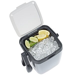 Additional Image 5 - a cooler with ice and lemons