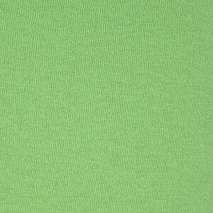 Additional Image 2 - a green wall with a white stripe