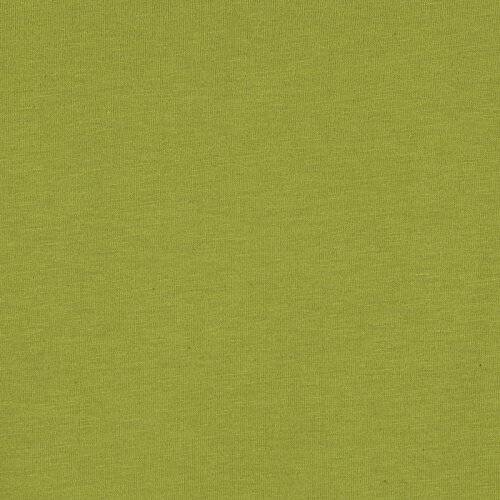 Additional Image 2 - a green wall with a white border