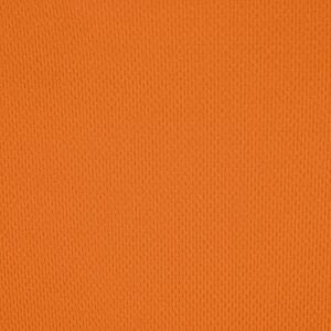 Additional Image 2 - an orange background