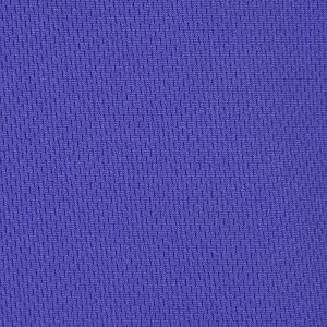 Additional Image 2 - a blue surface with small lines