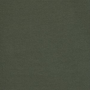 Additional Image 2 - a green wall with a white border