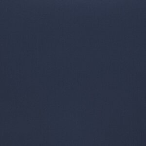 Additional Image 2 - a blue square with white text