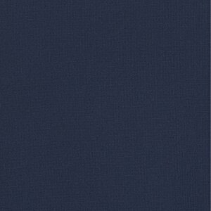 Additional Image 2 - a blue surface with white lines