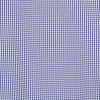 Additional Image 2 - a blue and white checkered fabric