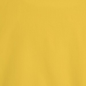 Additional Image 3 - a yellow shirt with a black stripe