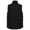 Additional Thumbnail Image 1 - a black vest on a white background