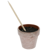 Additional Thumbnail Image 4 - a small pot with a stick in it