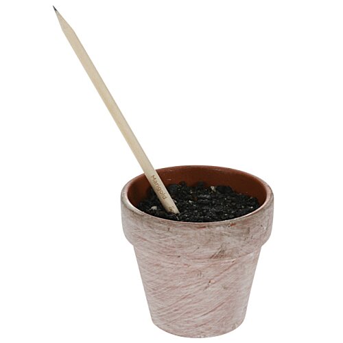 Additional Image 4 - a small pot with a stick in it