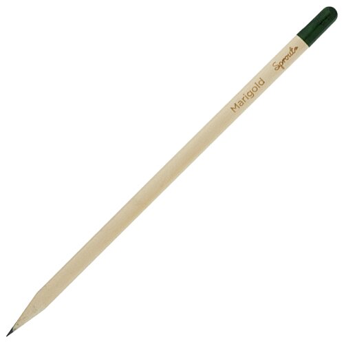 Additional Image 5 - a close-up of a pencil