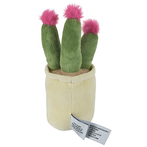 Additional Image 1 - a cactus in a pot