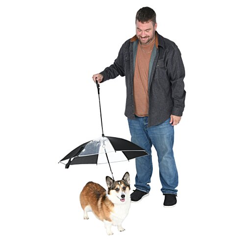 Additional Image 1 - a man holding an umbrella and a dog