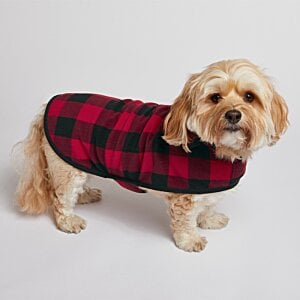 Additional Image 5 - a dog wearing a red and black plaid shirt