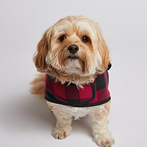 Additional Image 6 - a dog wearing a red and black vest