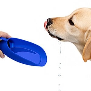 Additional Image 8 - a dog being fed a frisbee