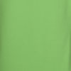 Additional Thumbnail Image 2 - a green object with a black stripe