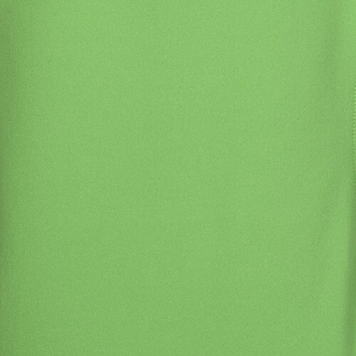 Additional Image 2 - a green object with a black stripe