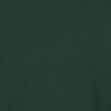 Additional Thumbnail Image 2 - a green wall with a black background