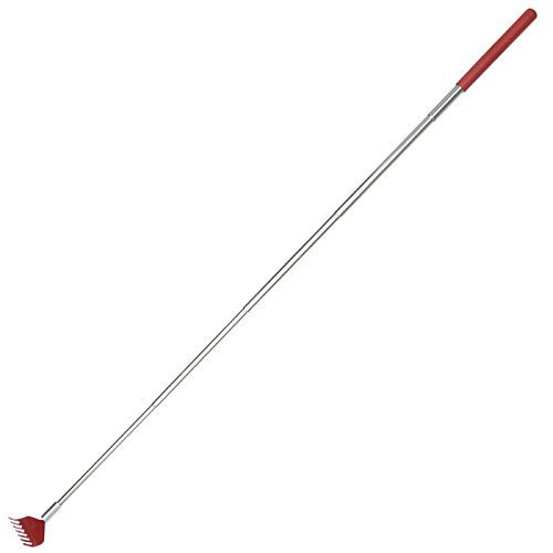 Additional Image 2 - a white and red cane