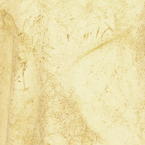 Additional Image 2 - a white fabric with black spots
