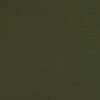 Additional Thumbnail Image 2 - a green wall with a black background