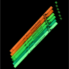 Additional Thumbnail Image 3 - a close-up of a line of green and orange lights