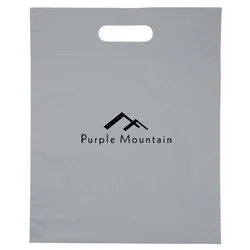 Convention Bag - 15" x 12"