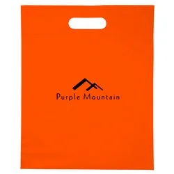 Convention Bag - 15" x 12"