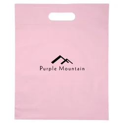 Convention Bag - 15" x 12"