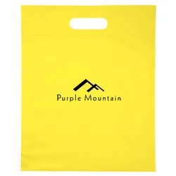 Convention Bag - 15" x 12"