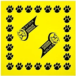 Bandana Pep Rag