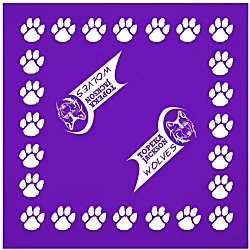 Bandana Pep Rag