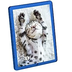 Translucent Magnetic Frame - Small