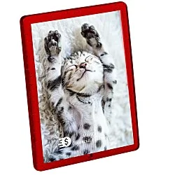 Translucent Magnetic Frame - Small